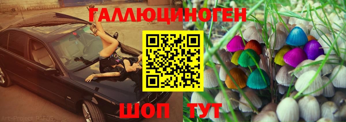 закладка  Галлюциногенные грибы GOLDEN TEACHER  Вход с VPN  Галлюциногенные грибы Cubensis  Будённовск 
