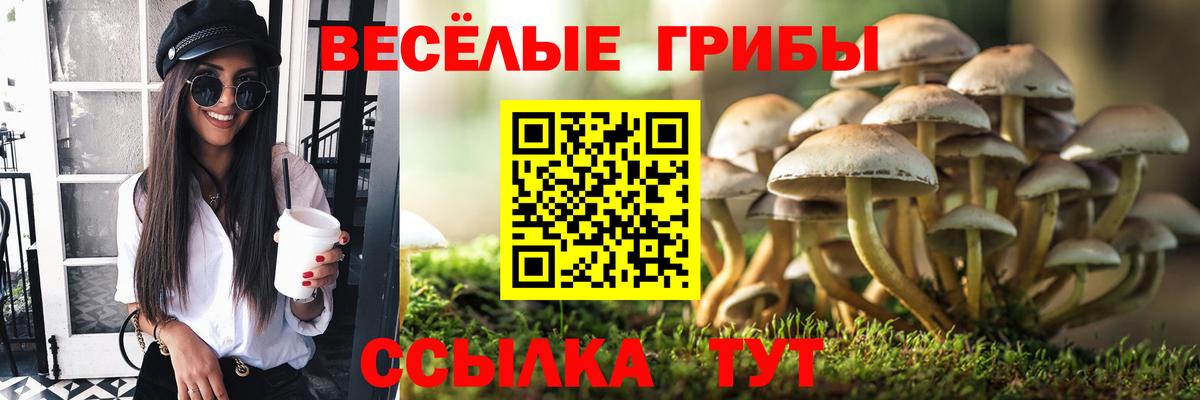 Галлюциногенные грибы ЛСД Будённовск